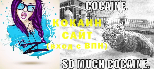 винт Лагань