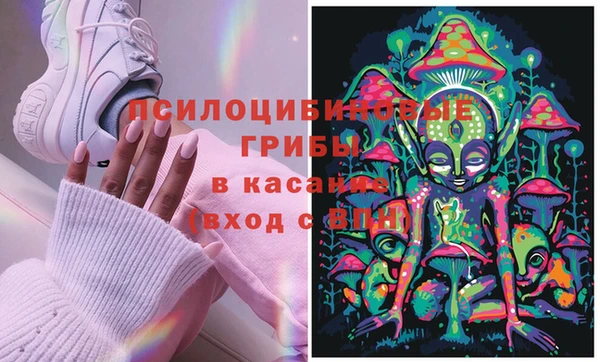 винт Лагань