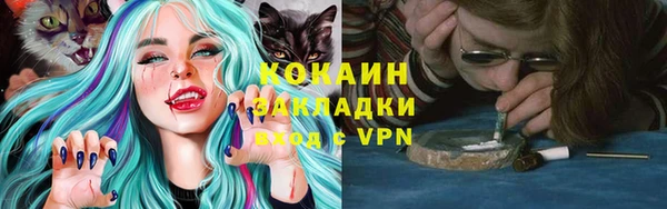 винт Лагань